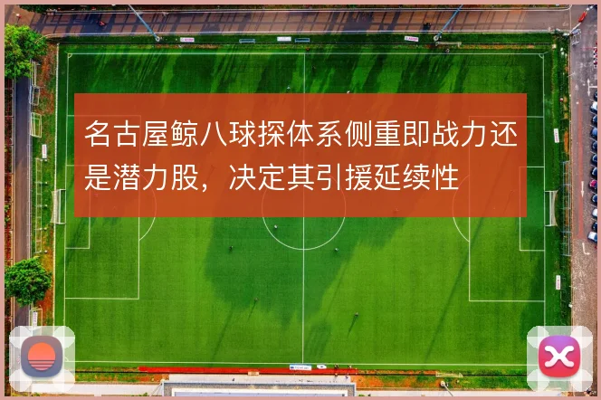 名古屋鲸八球探体系侧重即战力还是潜力股，决定其引援延续性