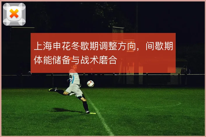 上海申花冬歇期调整方向,间歇期体能储备与战术磨合