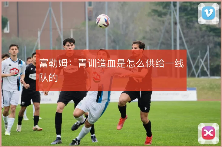 富勒姆:青训造血是怎么供给一线队的