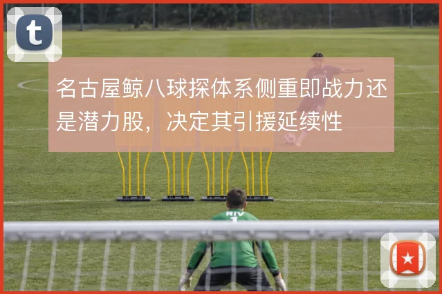 名古屋鲸八球探体系侧重即战力还是潜力股，决定其引援延续性